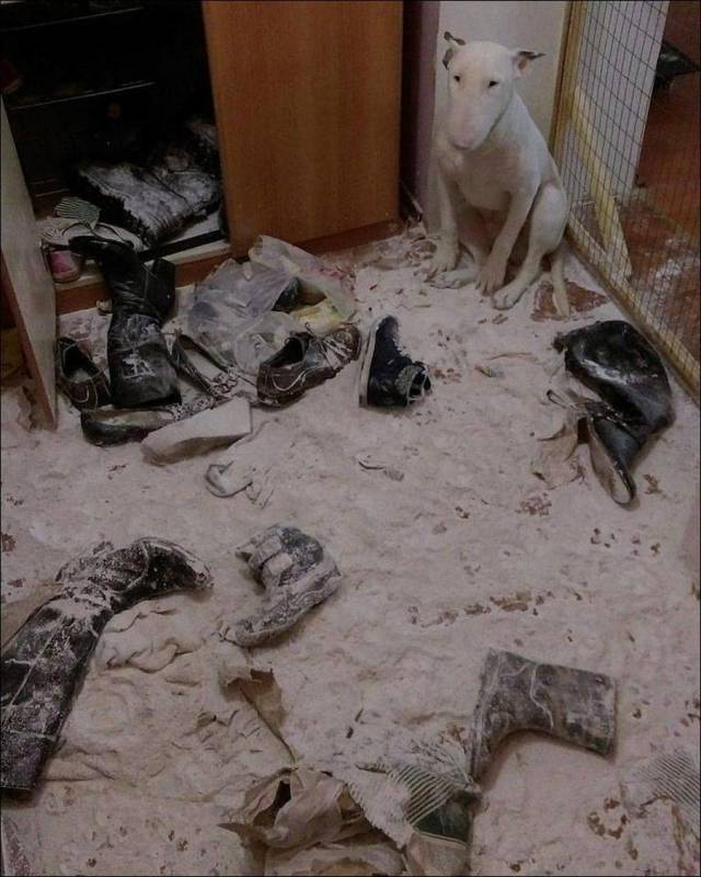 daily picdump 90 pics 20.html - 90 HD Photos | Premium Gallery 2018