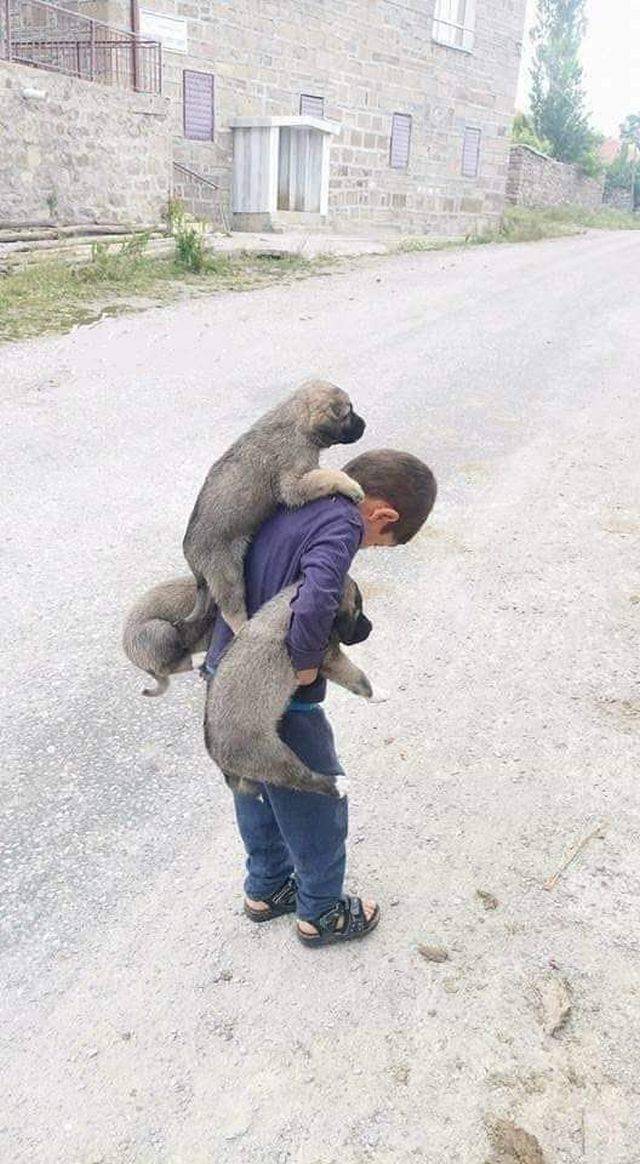 daily picdump 90 pics 20.html - 90 HD Photos | Premium Gallery 2018