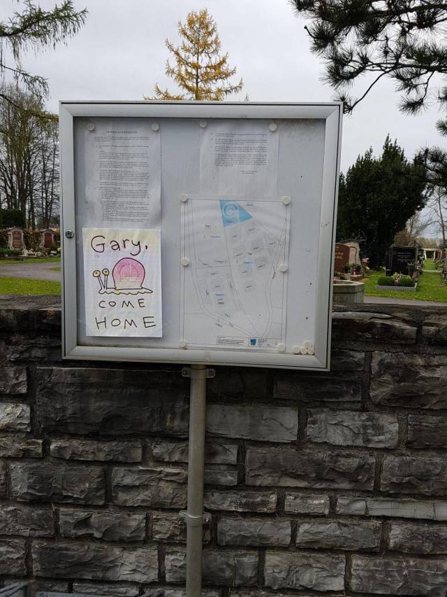 daily picdump 90 pics 20.html - 90 HD Photos | Premium Gallery 2018