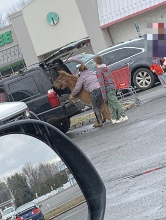 daily picdump 90 pics 20.html - 90 HD Photos | Premium Gallery 2018