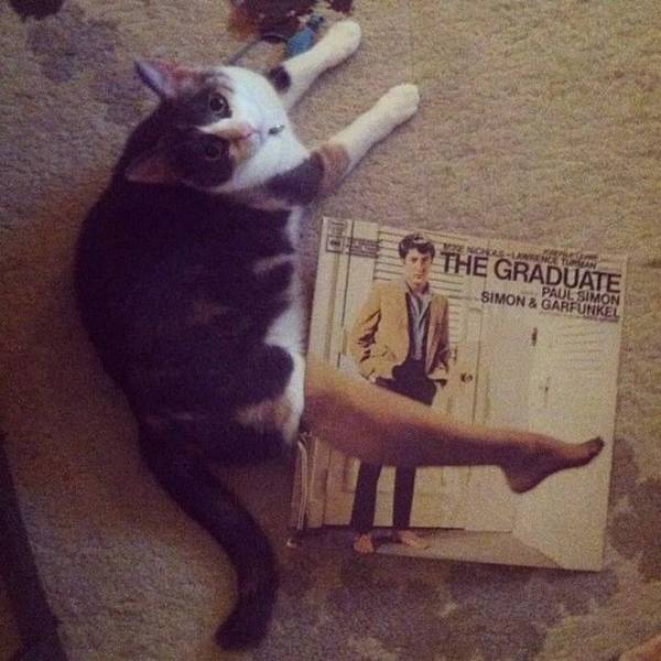 daily picdump weekend edition 84 pics 18.html - 84 HD Photos | Premium Gallery 2018