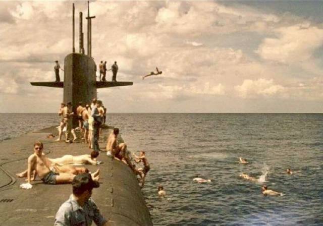 daily picdump weekend edition 84 pics 18.html - 84 HD Photos | Premium Gallery 2018