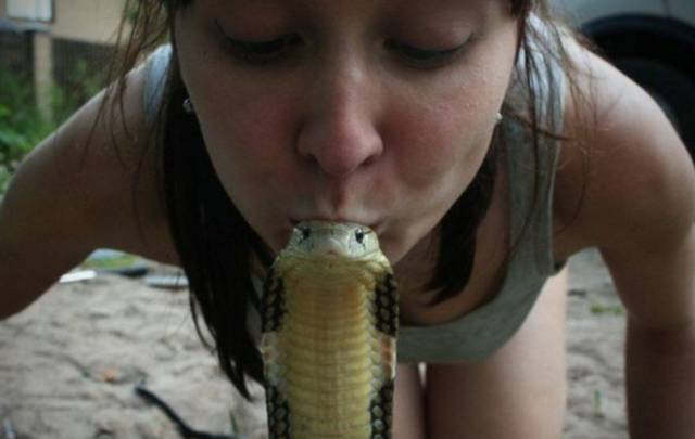 daily picdump weekend edition 84 pics 18.html - 84 HD Photos | Premium Gallery 2018