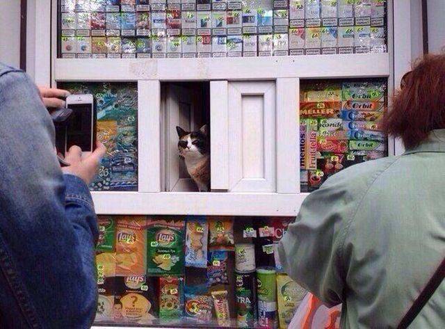 daily picdump weekend edition 84 pics 18.html - 84 HD Photos | Premium Gallery 2018