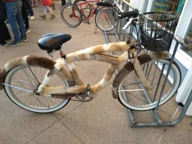 daily picdump weekend edition 84 pics 18.html - 84 HD Photos | Premium Gallery 2018