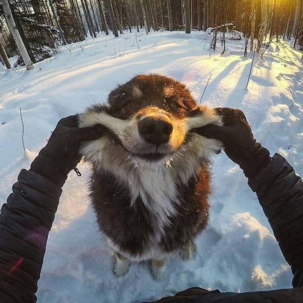 daily picdump weekend edition 84 pics 18.html - 84 HD Photos | Premium Gallery 2018