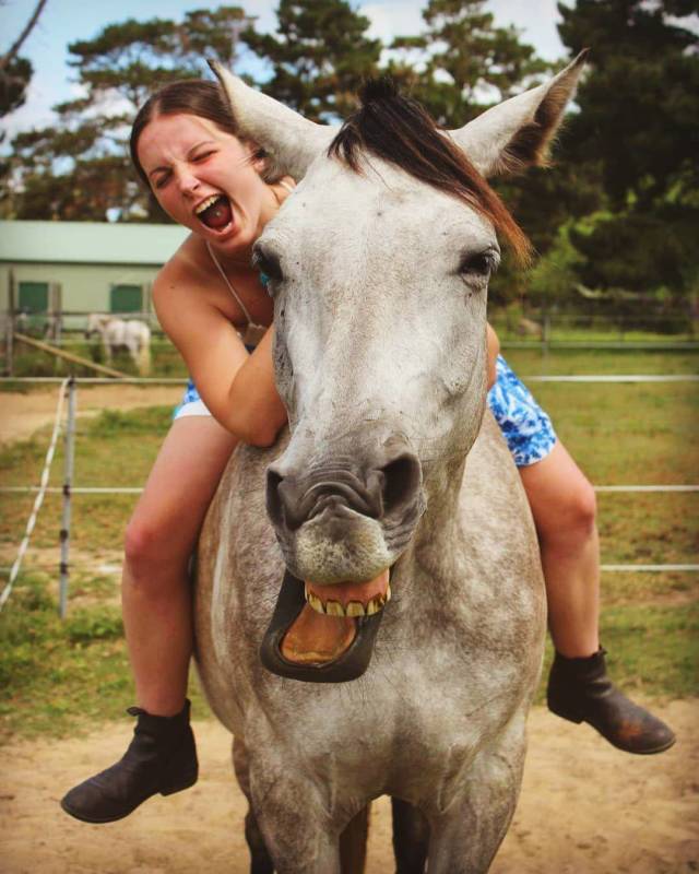 daily picdump weekend edition 84 pics 18.html - 84 HD Photos | Premium Gallery 2018