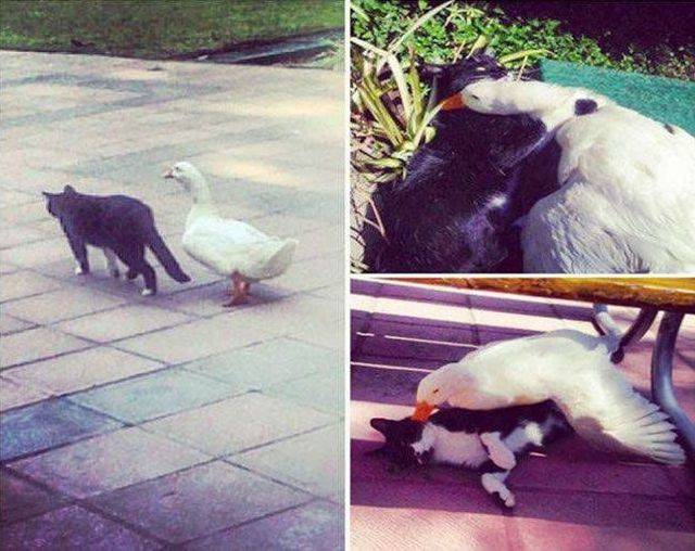 Daily Picdump [NEW YEAR EDITION]