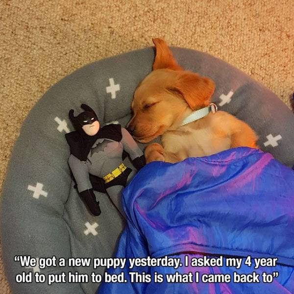daily picdump happy new year edition 100 pics 25.html - 100 HD Photos | Premium Gallery 2018