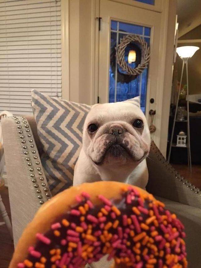 daily picdump happy new year edition 100 pics 25.html - 100 HD Photos | Premium Gallery 2018