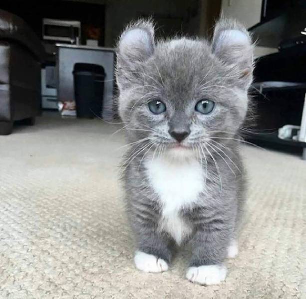 daily picdump 100 pics 35.html - 100 HD Photos | Premium Gallery 2019