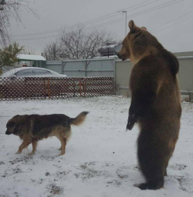 daily picdump 100 pics 35.html - 100 HD Photos | Premium Gallery 2019