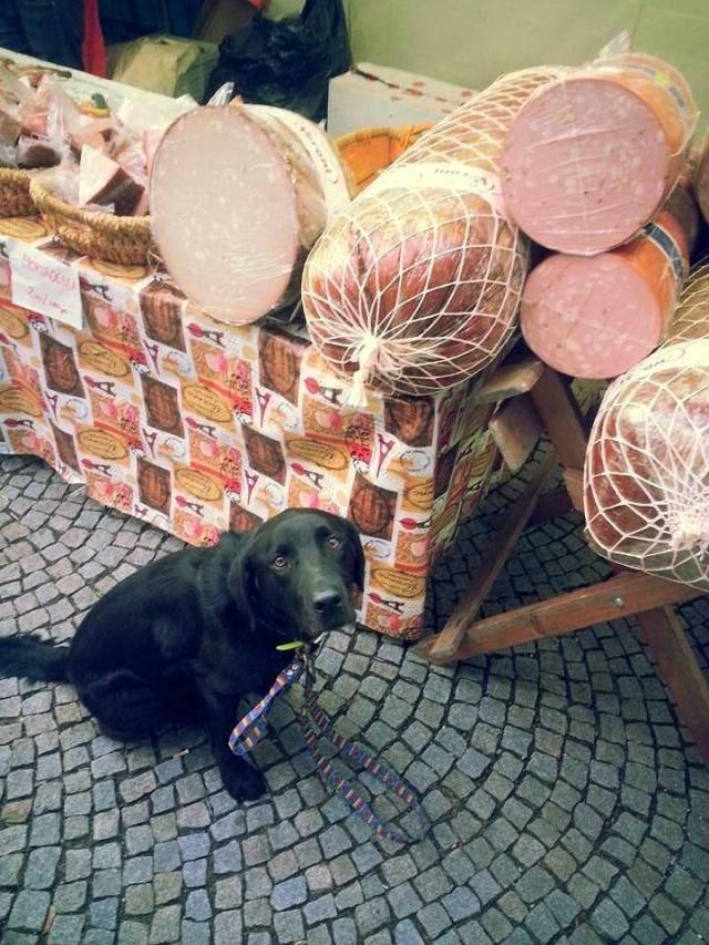 daily picdump 100 pics 35.html - 100 HD Photos | Premium Gallery 2019