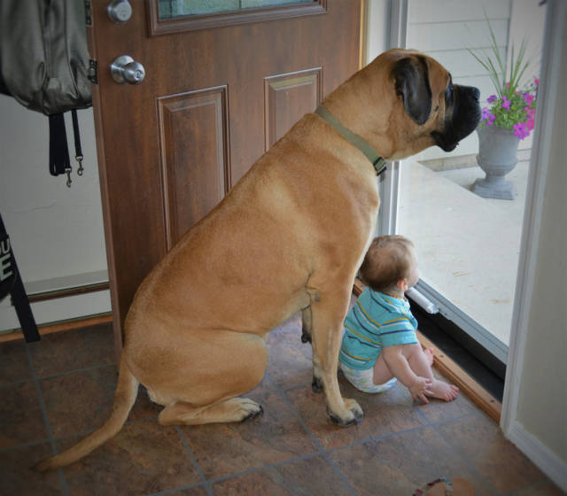 morning picdump 51 pics 21.html - 51 HD Photos | Premium Gallery 2019
