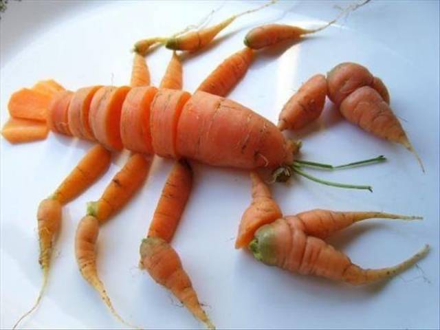 morning picdump 51 pics 21.html - 51 HD Photos | Premium Gallery 2019