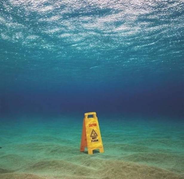 daily picdump 98 pics 35.html - 98 HD Photos | Premium Gallery 2019