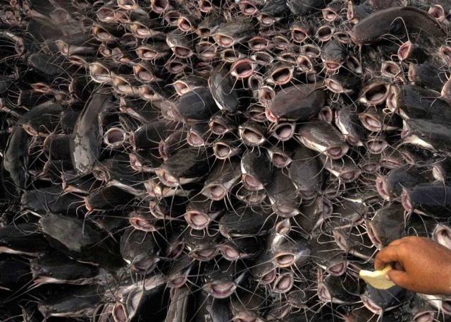 daily picdump 98 pics 35.html - 98 HD Photos | Premium Gallery 2019