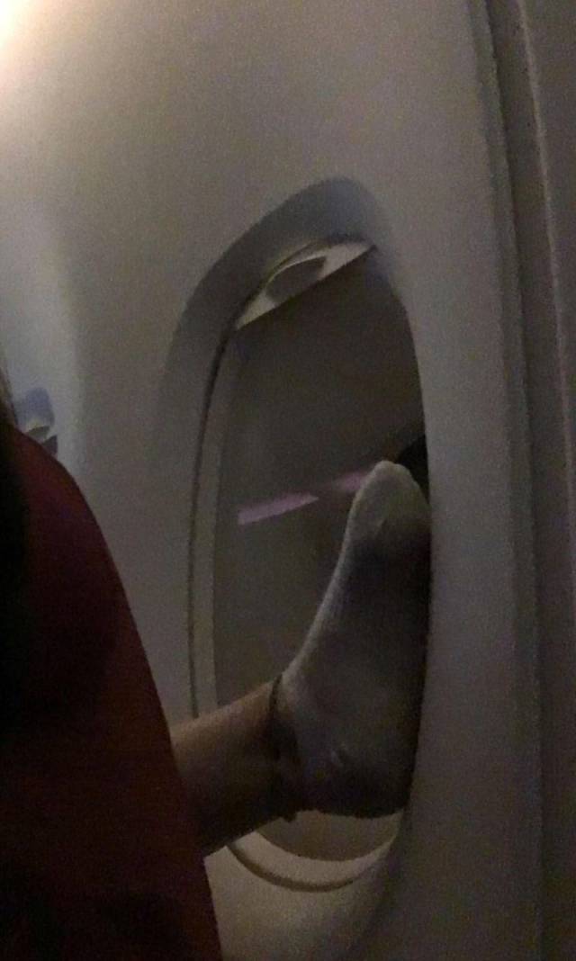 daily picdump 98 pics 35.html - 98 HD Photos | Premium Gallery 2019