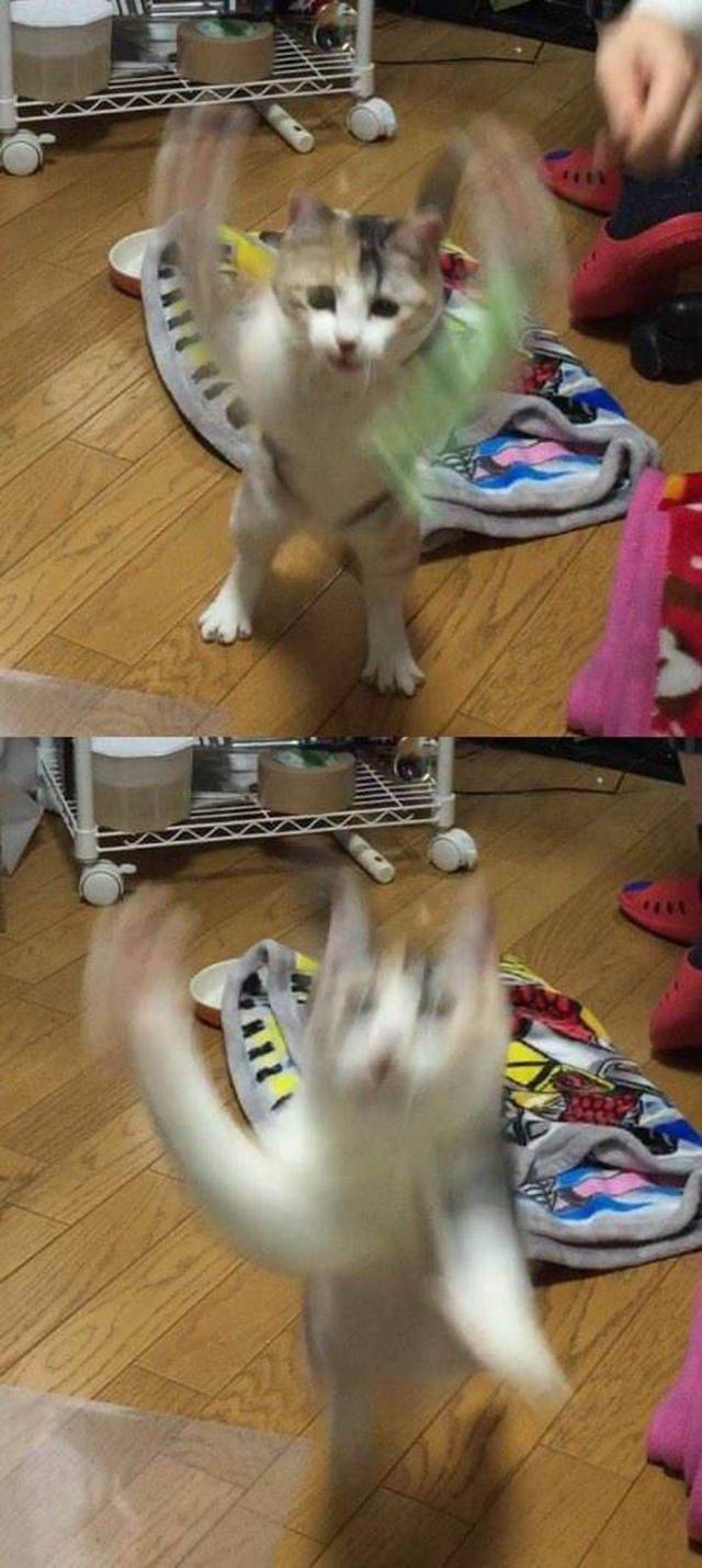 daily picdump 98 pics 35.html - 98 HD Photos | Premium Gallery 2019