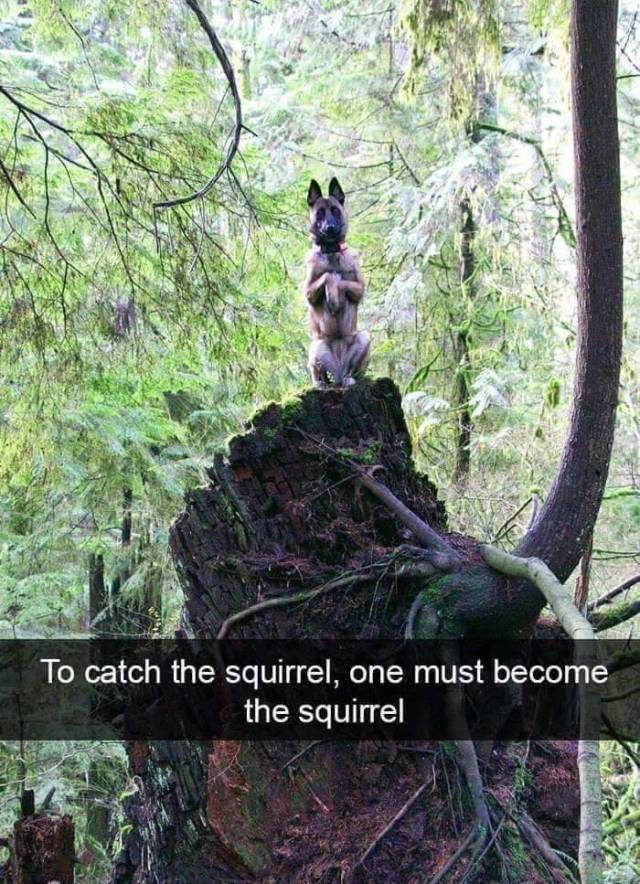Funny Picdump
