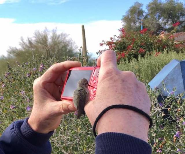 morning picdump 52 pics 17.html - 52 HD Photos | Premium Gallery 2019