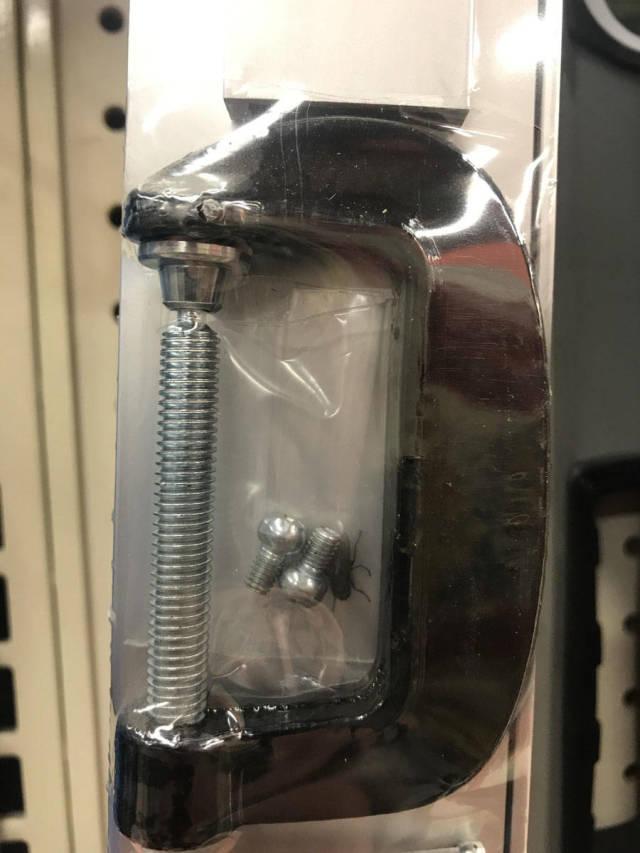 morning picdump 52 pics 17.html - 52 HD Photos | Premium Gallery 2019