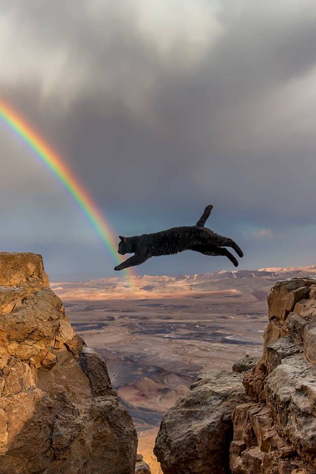 daily picdump weekend edition 52 pics 5.html - 52 HD Photos | Premium Gallery 2019