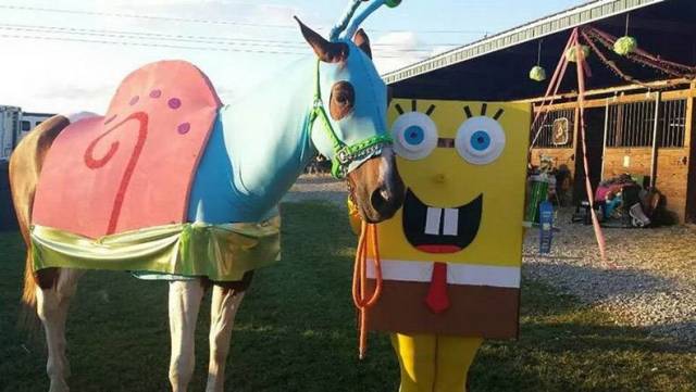 daily picdump 87 pics 42.html - 87 HD Photos | Premium Gallery 2019