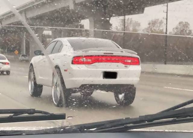 daily picdump 87 pics 42.html - 87 HD Photos | Premium Gallery 2019