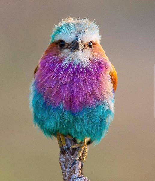 daily picdump 87 pics 42.html - 87 HD Photos | Premium Gallery 2019