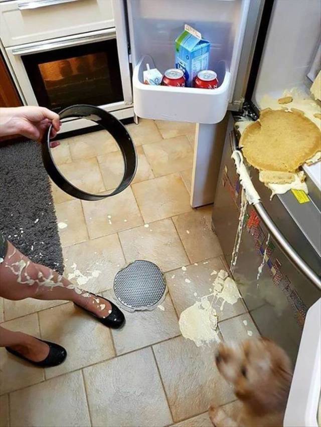 daily picdump 87 pics 42.html - 87 HD Photos | Premium Gallery 2019