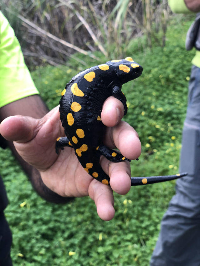 daily picdump 87 pics 42.html - 87 HD Photos | Premium Gallery 2019