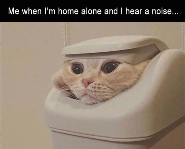 funny picdump 57 pics 21.html - 57 HD Photos | Premium Gallery 2019