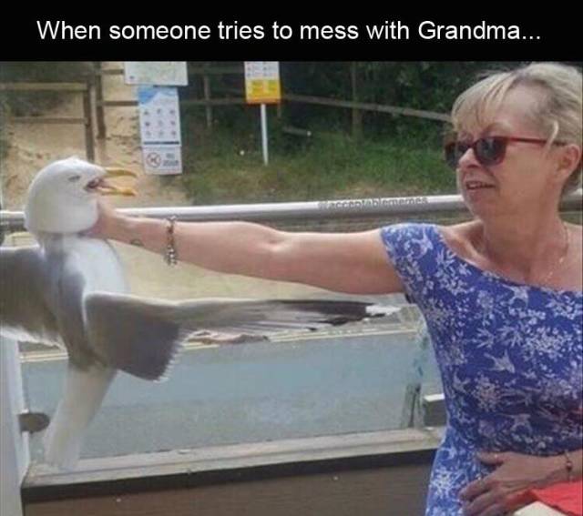 funny picdump 57 pics 21.html - 57 HD Photos | Premium Gallery 2019