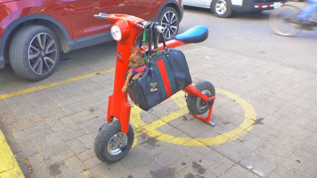morning picdump 52 pics 12.html - 52 HD Photos | Premium Gallery 2019