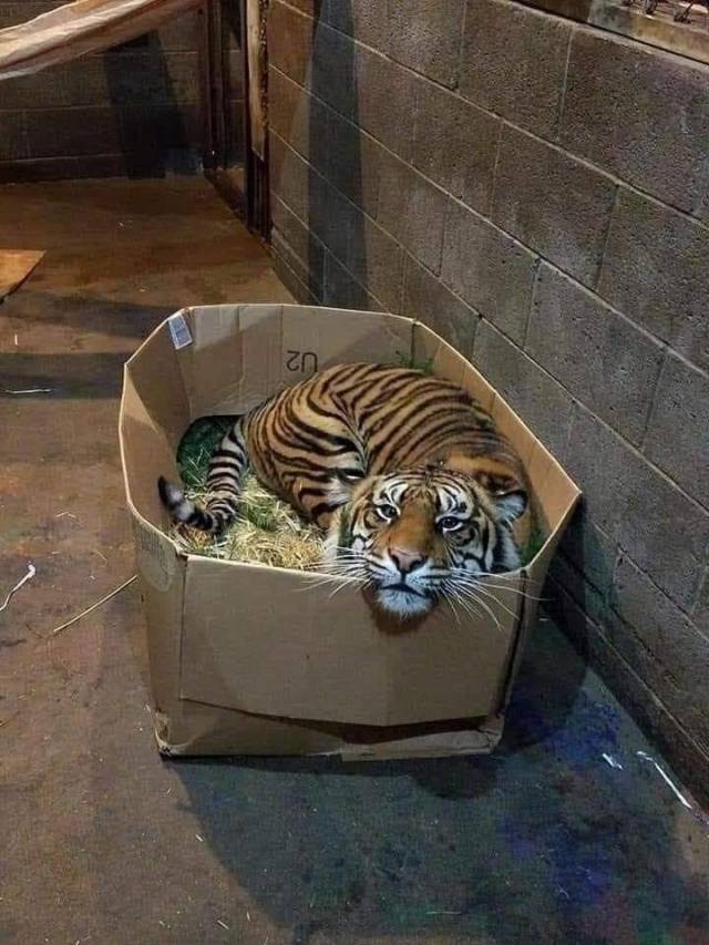 morning picdump 52 pics 12.html - 52 HD Photos | Premium Gallery 2019