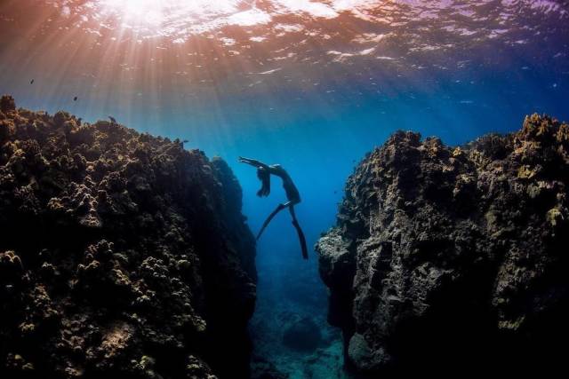 daily picdump 105 pics 27.html - 105 HD Photos | Premium Gallery 2019