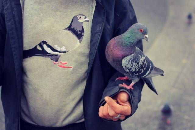 daily picdump 105 pics 27.html - 105 HD Photos | Premium Gallery 2019