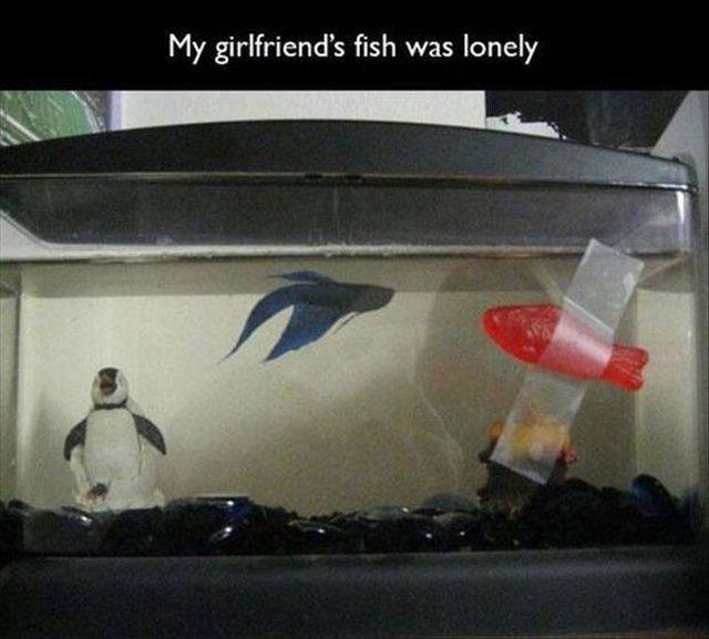 daily picdump 105 pics 27.html - 105 HD Photos | Premium Gallery 2019