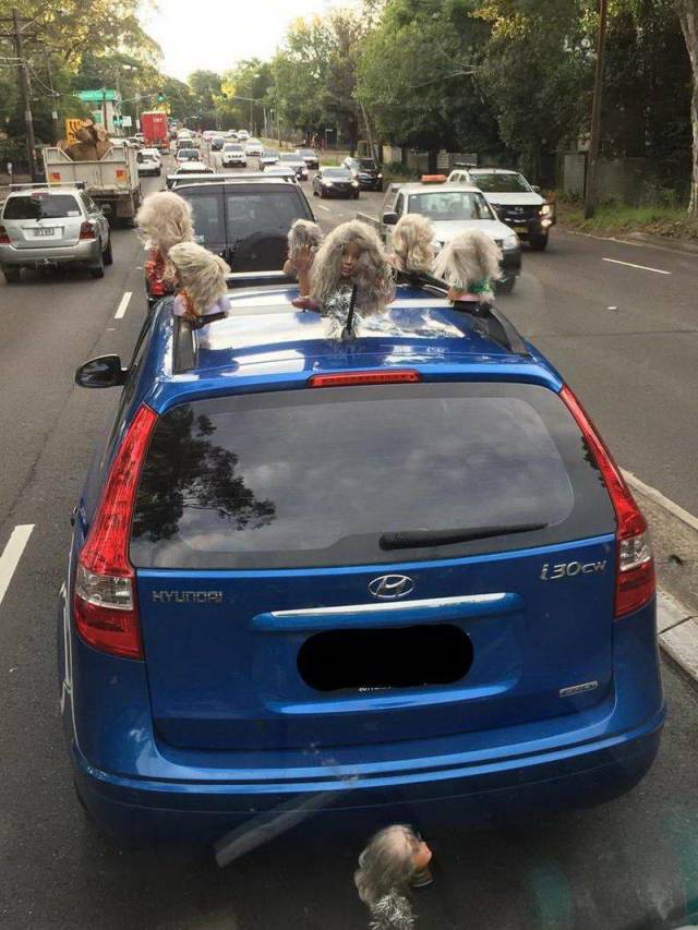 daily picdump 105 pics 27.html - 105 HD Photos | Premium Gallery 2019