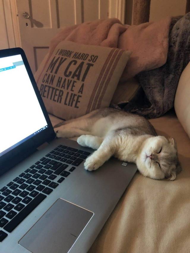 daily picdump 105 pics 27.html - 105 HD Photos | Premium Gallery 2019