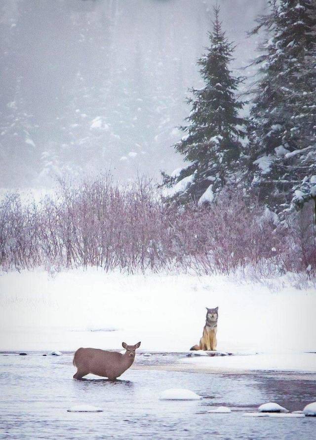 daily picdump 105 pics 27.html - 105 HD Photos | Premium Gallery 2019