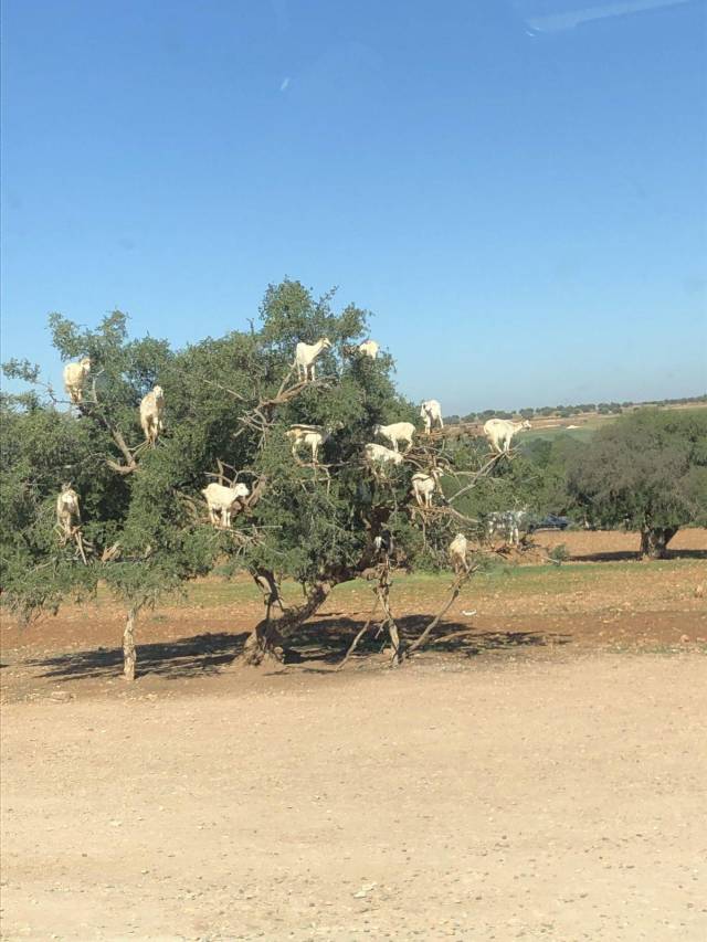 daily picdump 105 pics 27.html - 105 HD Photos | Premium Gallery 2019