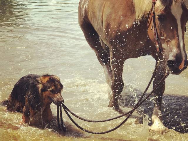 daily picdump 81 pics 14.html - 81 HD Photos | Premium Gallery 2019