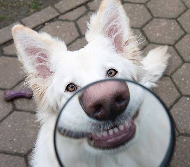 daily picdump 81 pics 14.html - 81 HD Photos | Premium Gallery 2019