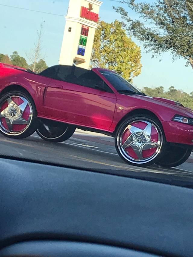 daily picdump 81 pics 14.html - 81 HD Photos | Premium Gallery 2019