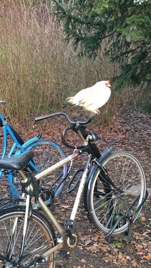 daily picdump 81 pics 14.html - 81 HD Photos | Premium Gallery 2019