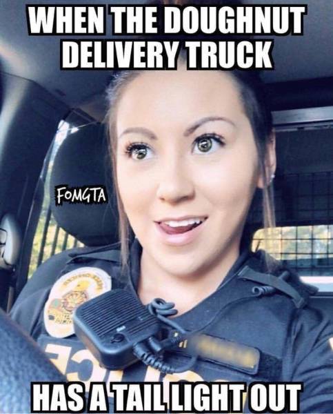 page,2,top 250 funny pics of the year 2019.html - 1 HD Photos | Premium Gallery 2019