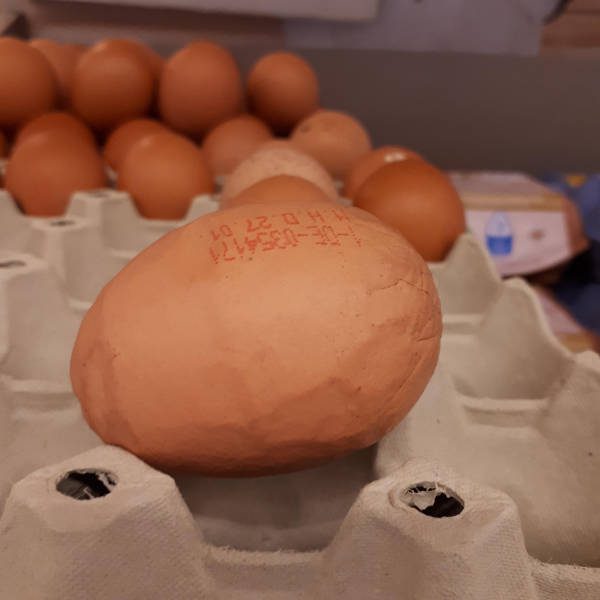 morning picdump 54 pics 12.html - 54 HD Photos | Premium Gallery 2019