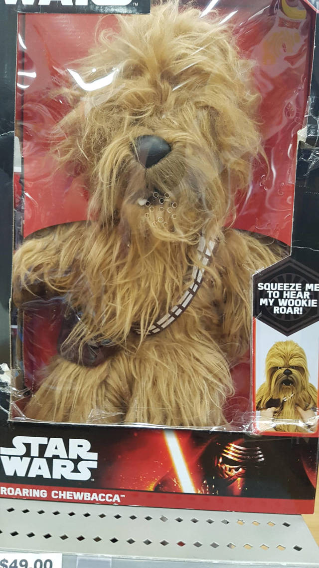 morning picdump 54 pics 12.html - 54 HD Photos | Premium Gallery 2019